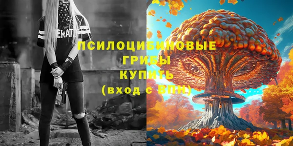 СК Мегион
