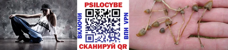 Галлюциногенные грибы Cubensis  Нижневартовск 